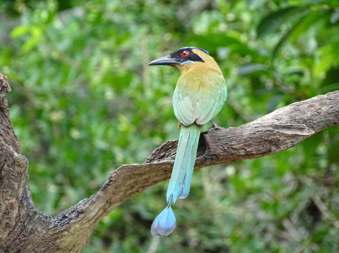 imagenes de las experiencias a disfrutar si te hospedas en el hotel Amanecer Tayrona (1) (1)