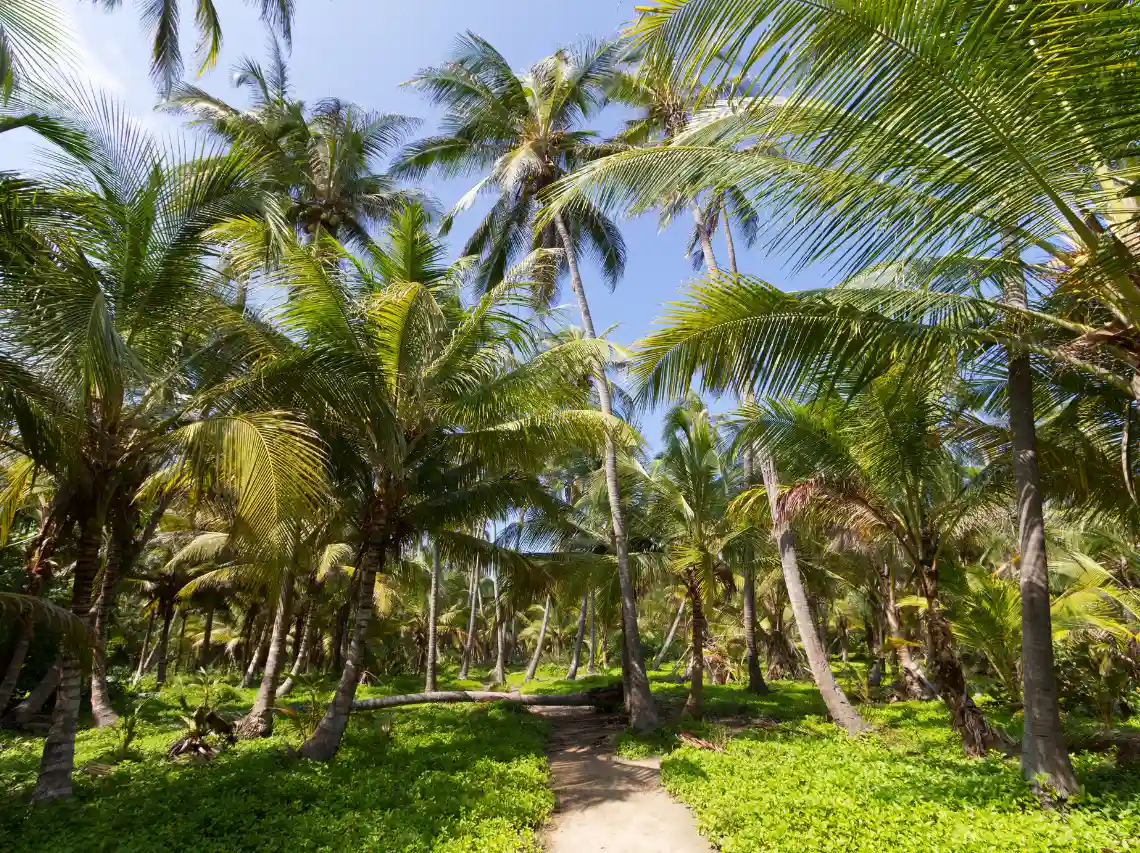 imagenes de las experiencias a disfrutar si te hospedas en el hotel Amanecer Tayrona (16)