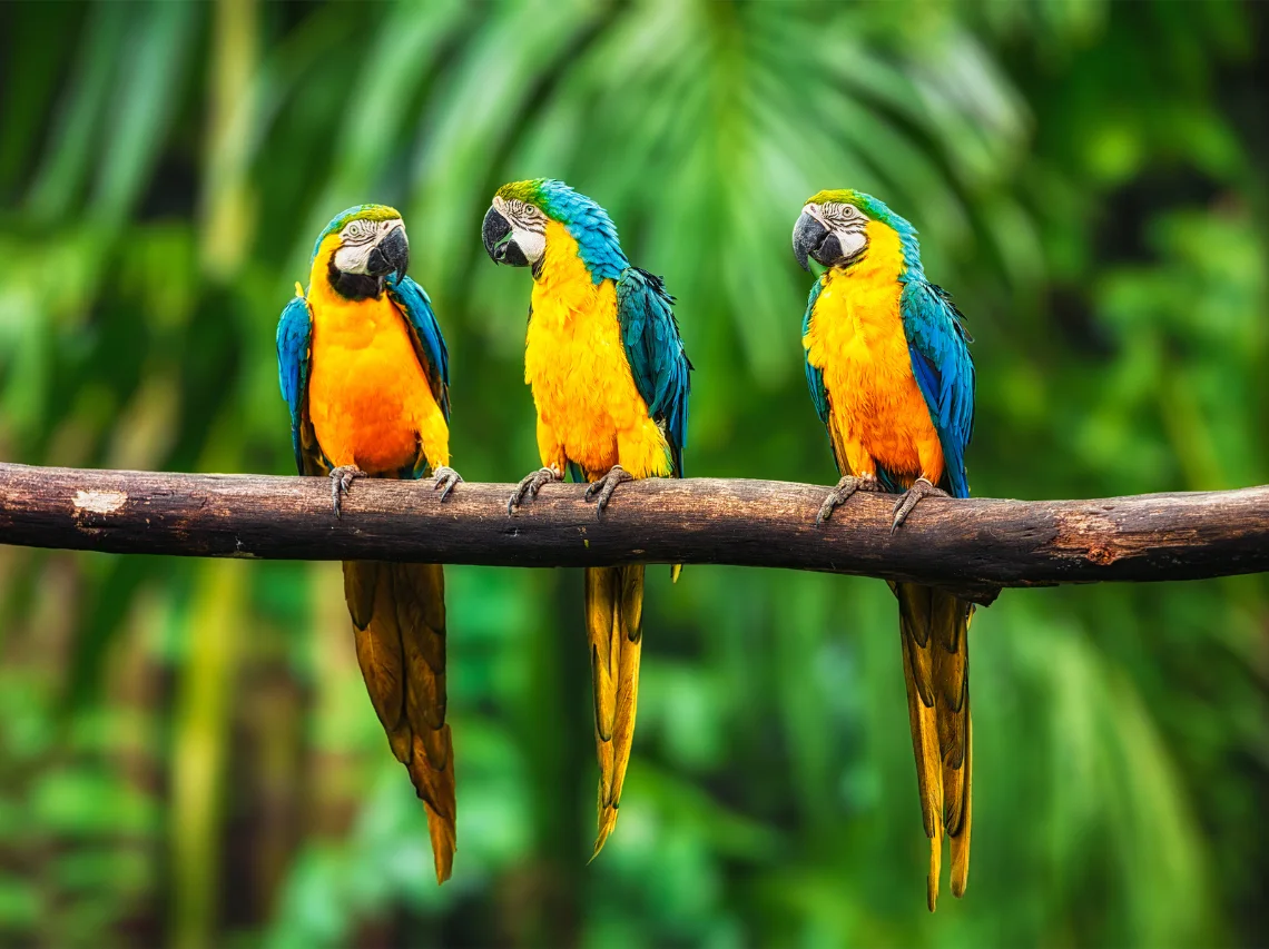 imagenes de las experiencias a disfrutar si te hospedas en el hotel Amanecer Tayrona (4)